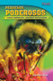 Pequeños poderosos (Cosas diminutas, grandes resultados) (Spanish Edition) by Jennifer Kroll, 9781433371813