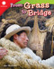 From Grass to Bridge by Ben Nussbaum, 9781493866878