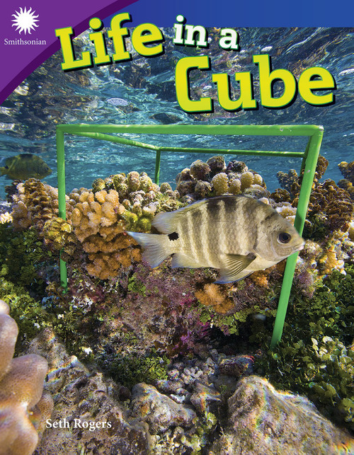 Life in a Cube by Seth Rogers, 9781493867073