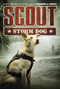 Scout: Storm Dog - 9780062802644 by Jennifer Li Shotz, 9780062802644