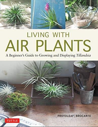 Living with Air Plants (A Beginner's Guide to Growing and Displaying Tillandsia) by Yoshiharu Kashima (Protoleaf), Yukihiro Matsuda (Brocante), 9780804851046