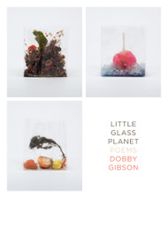 Little Glass Planet (Poems) by Dobby Gibson, 9781555978426