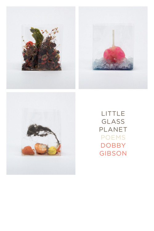 Little Glass Planet (Poems) by Dobby Gibson, 9781555978426