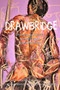 DrawBridge (Drawing Alongside My Brother's Schizophrenia) by Joan Boxall, Stephen A. Corcoran, 9781773860022