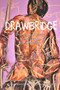 DrawBridge (Drawing Alongside My Brother's Schizophrenia) by Joan Boxall, Stephen A. Corcoran, 9781773860022