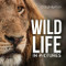 Wildlife In Pictures - 9781925546217 by Craig Hayman, 9781925546217