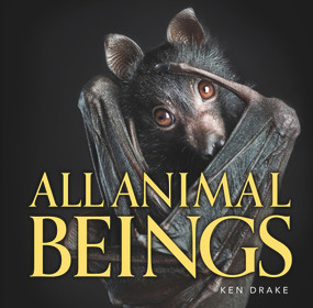 All Animal Beings by Ken & Beck Drake, 9781742579290