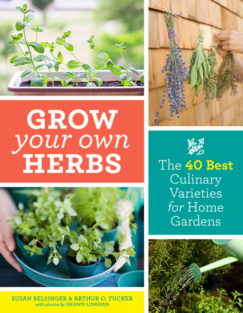 Grow Your Own Herbs (The 40 Best Culinary Varieties for Home Gardens) by Susan Belsinger, Arthur O. Tucker, 9781604699296