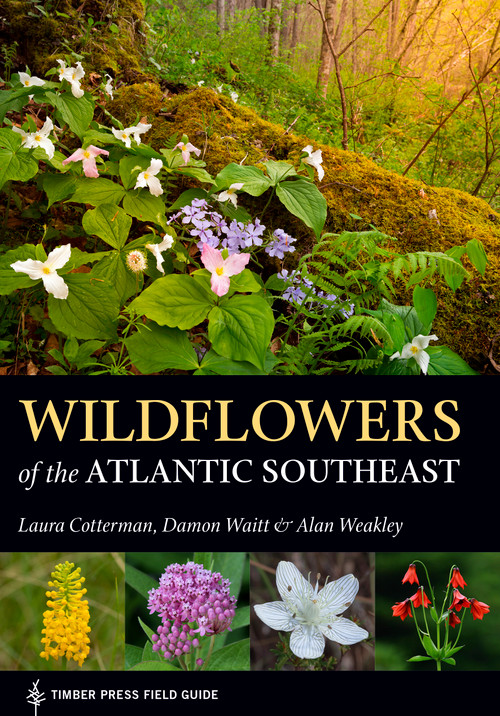 Wildflowers of the Atlantic Southeast by Laura Cotterman, Damon Waitt, Alan Weakley, 9781604697605