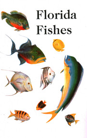 Saltwater Florida Fishes by Rube Allyn, Charlie Allyn, 9780820001227