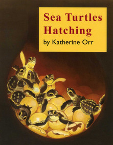 Sea Turtles Hatching by Katherine Orr, 9780893170486