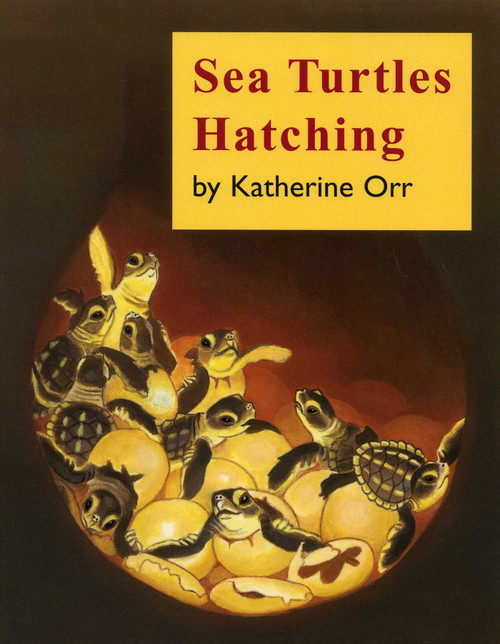 Sea Turtles Hatching by Katherine Orr, 9780893170486