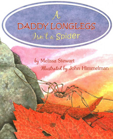 Daddy Longlegs Isn't a Spider by Melissa Stewart, John Himmelman, 9780893170691