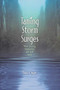 Taming Storm Surges (When Ecology. Engineering, and Faith Meet) by Bob Onan, 9781880654330