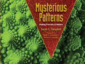 Mysterious Patterns (Finding Fractals in Nature) by Sarah C. Campbell, Richard P. Campbell, 9781620916278