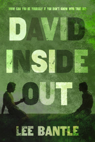 David Inside Out by Lee Bantle, 9781250104281