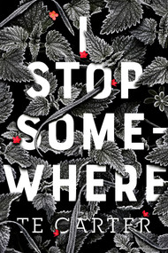 I Stop Somewhere - 9781250294593 by TE Carter, 9781250294593