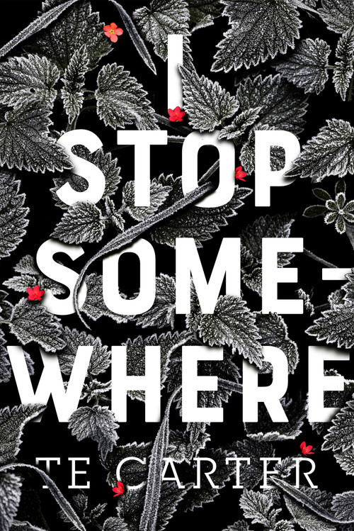I Stop Somewhere - 9781250294593 by TE Carter, 9781250294593