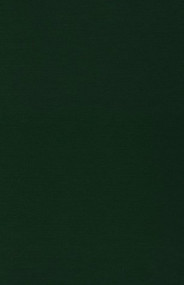 The Collected Works of James Clarence Mangan Poems V4 (Poems: 1848-1912) by Jacques Chuto, Rudolf Patrick Holzapfel, Peter MacMahon, Patrick O Snodaigh, Ellen Shannon-Mangan, Tadhg O Dushlane, Peter Van De Kamp, James Clarence Mangan, 9780716526001