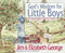 God's Wisdom for Little Boys (Character-Building Fun from Proverbs) by Jim George, Elizabeth George, Judy Luenebrink, 9780736908245