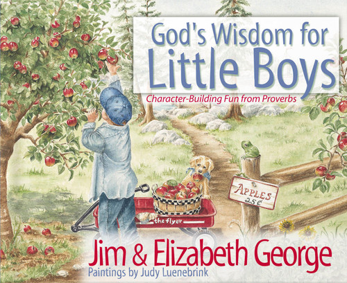 God's Wisdom for Little Boys (Character-Building Fun from Proverbs) by Jim George, Elizabeth George, Judy Luenebrink, 9780736908245