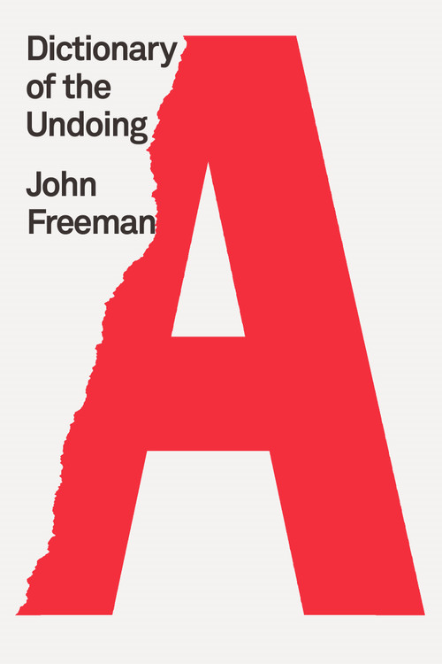 Dictionary of the Undoing by Valeria Luiselli, John Freeman, 9780374538859