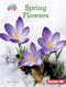 Spring Flowers by Katie Peters, 9781541558700