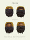 Felon (Poems) by Reginald Dwayne Betts, 9780393652147