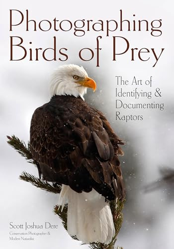 Photographing Birds of Prey (The Art of Identifying & Documenting Raptors) by Scott Joshua Dere, 9781682034248