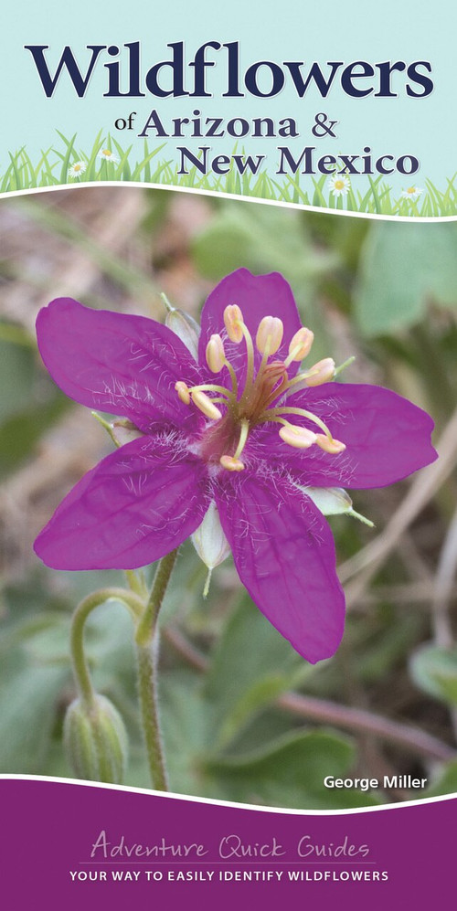 Wildflowers of Arizona & New Mexico (Your Way to Easily Identify Wildflowers) by George Oxford Miller, 9781591938170