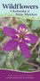 Wildflowers of Arizona & New Mexico (Your Way to Easily Identify Wildflowers) by George Oxford Miller, 9781591938170