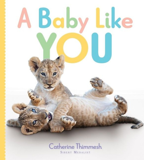 A Baby Like You by Catherine Thimmesh, 9781328553126
