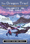 Calamity in the Cold by Jesse Wiley, 9780358040590
