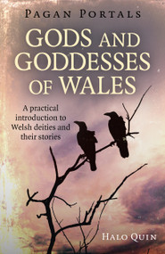 Pagan Portals - Gods and Goddesses of Wales (A Practical Introduction To Welsh Deities And Their Stories) by Halo Quin, 9781785356216