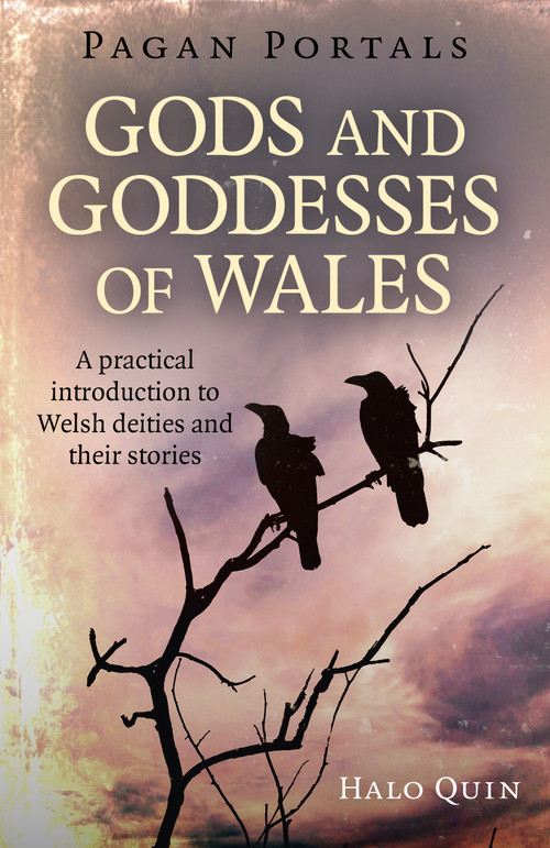 Pagan Portals - Gods and Goddesses of Wales (A Practical Introduction To Welsh Deities And Their Stories) by Halo Quin, 9781785356216