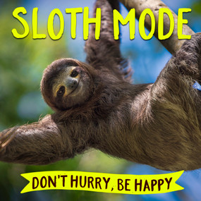 Sloth Mode by Willow Creek Press, 9781682348512