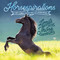 Horsespirations by Willow Creek Press, 9781682348499