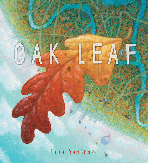 Oak Leaf (A Picture Book) by John Sandford, 9781944903732
