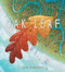 Oak Leaf (A Picture Book) by John Sandford, 9781944903732