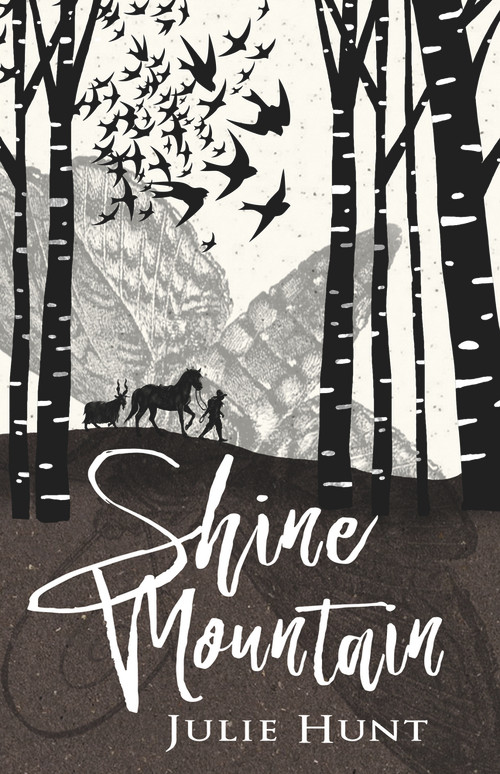 Shine Mountain by Julie Hunt, 9781760291501