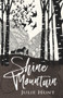 Shine Mountain by Julie Hunt, 9781760291501
