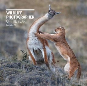 Wildlife Photographer of the Year: Portfolio 29 by Rosamund Kidman Cox, 9780565094867