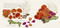Playing with Collage by Jeannie Baker, Jeannie Baker, 9781536205398