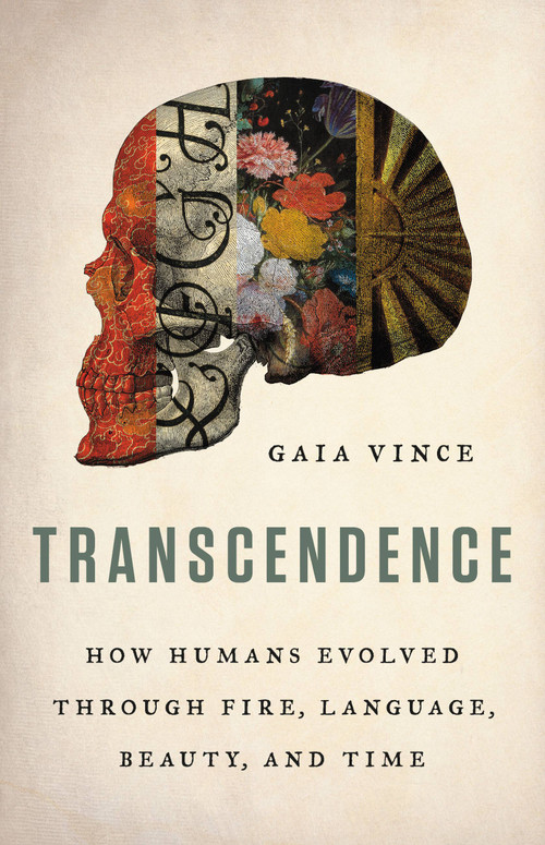 Transcendence (How Humans Evolved through Fire, Language, Beauty, and Time) by Gaia Vince, 9780465094905