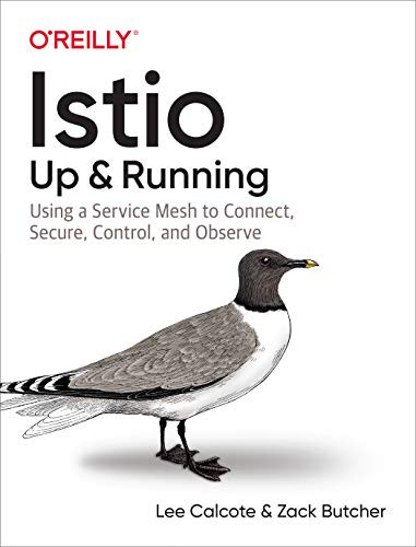 Istio: Up and Running (Using a Service Mesh to Connect, Secure, Control, and Observe) by Lee Calcote, Zack Butcher, 9781492043782