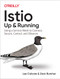 Istio: Up and Running (Using a Service Mesh to Connect, Secure, Control, and Observe) by Lee Calcote, Zack Butcher, 9781492043782
