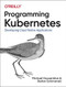 Programming Kubernetes (Developing Cloud-Native Applications) by Michael Hausenblas, Stefan Schimanski, 9781492047100