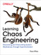Learning Chaos Engineering (Discovering and Overcoming System Weaknesses Through Experimentation) by Russ Miles, 9781492051008