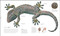 Zoology (Inside the Secret World of Animals) by DK, Smithsonian Institution, 9781465482518