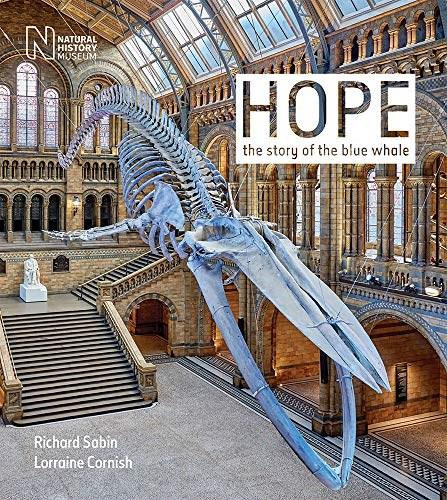 Hope (The story of the blue whale) - 9780565094775 by Richard Sabin, Lorraine Cornish, 9780565094775
